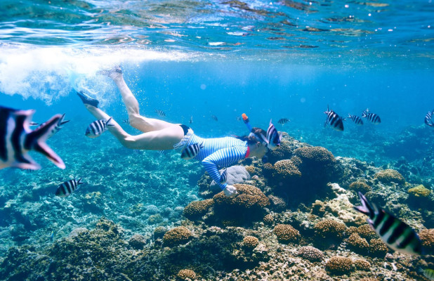 2D1N + Snorkeling