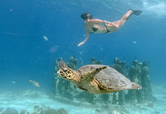4-Hour Private Snorkeling — Bali Hotel Transfer Included