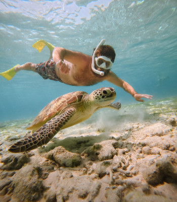 4-Hour Private Snorkeling with GoPro - Departure from Gili Trawangan