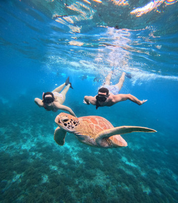 8 Hours Snorkeling Trip Gili Island