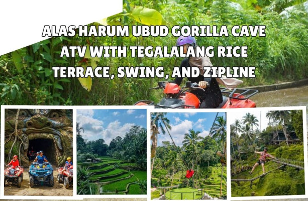 Alas Harum Ubud Gorilla Cave ATV with Tegalalang Rice Terrace, Swing, and Zipline