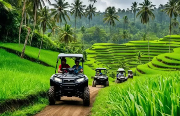 ATV Tour in the Rice Fields