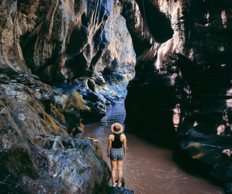 Bali 1 Day Tour: Beaten Track Experience of Hidden Canyon, Waterfall, Monkey Forest