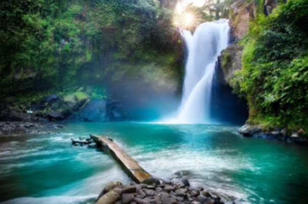 Bali 1 Day Tour: Discover Waterfall - Sacred Temple - Rice Terrace - Monkey Forest