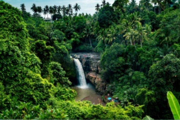 Bali 1 Day Tour: Experienced the natural beauty and walk on tranquil environment