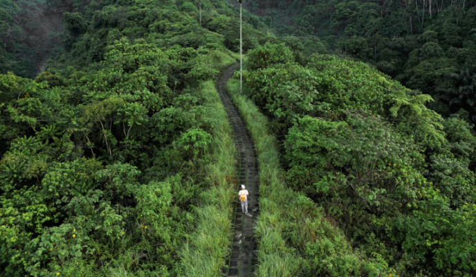 Bali 1 Day Tour: Exploring Bali's Natural Wonders of Waterfall Ridge Walk Monkey Forest