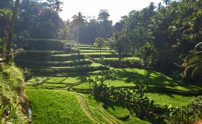 Bali 9 Days Tour Packages ( 2 Days in Nusa Penida island)