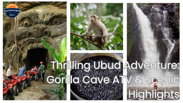 Bali Adventure ATV Gorilla Cave and Nature Bliss Expedition