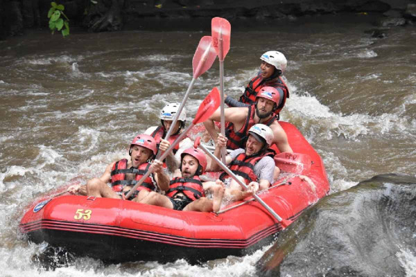 Bali Adventure: Rafting, Swing & Scenic Highlights
