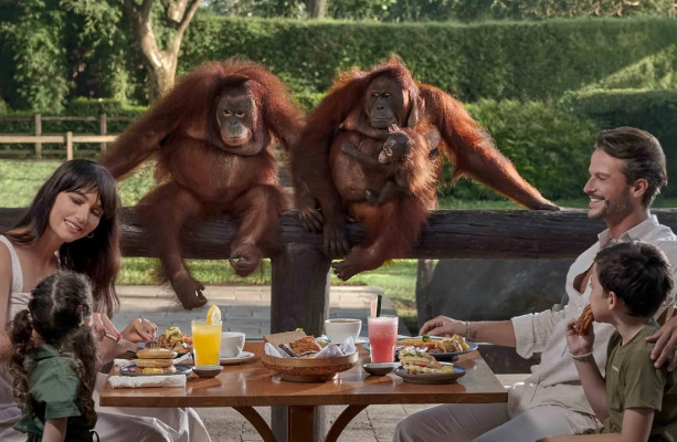 Bali ATV Ride, Breakfast with Orangutans