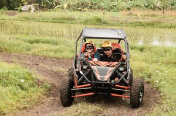 Bali Buggy UTV