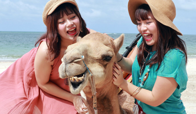 Bali Camel Safari Experience