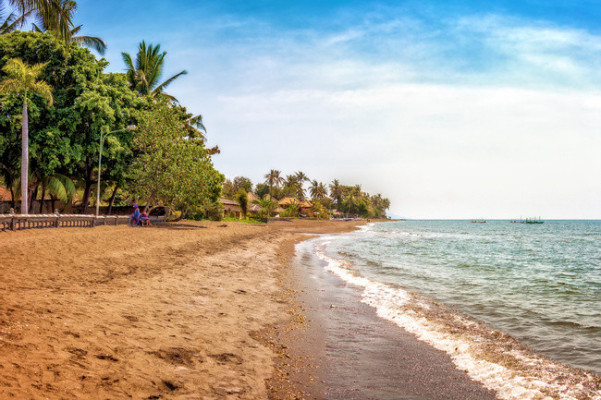 Bali Dolphin Tour