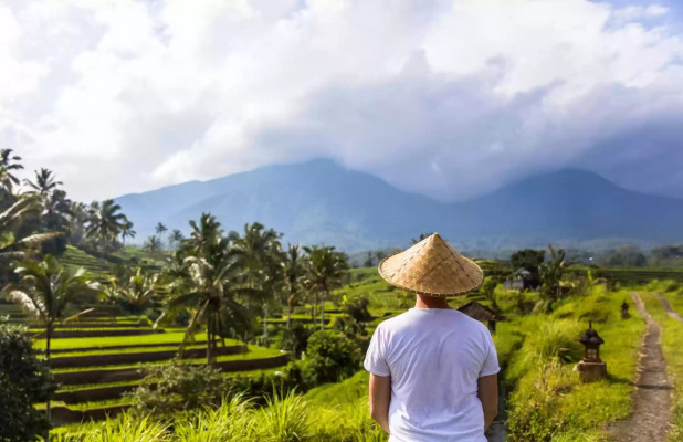 Bali Full-Day Water Temples and UNESCO Rice Terraces Tour