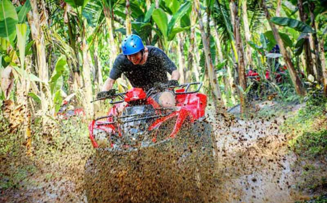 BALI FUN ATV  - Single atv