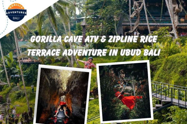 Bali: Gorilla Cave ATV & Zipline Rice Terrace Adventure in Ubud
