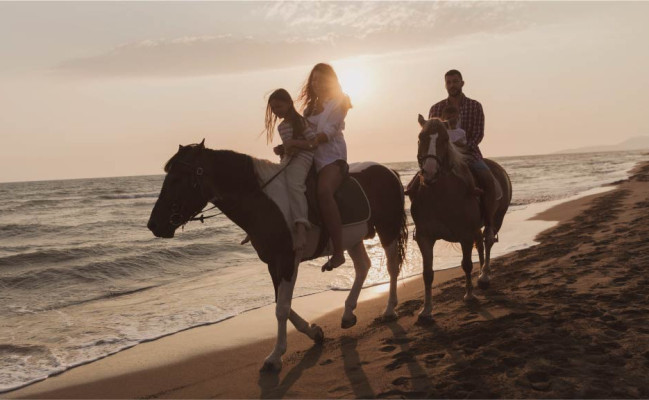Bali Horse Riding & Flamingo Beach Club