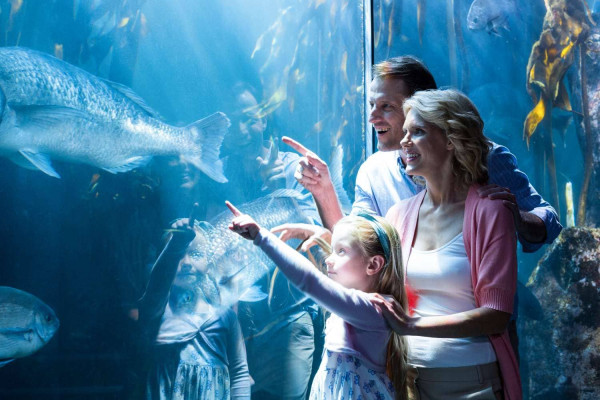 Bali Marine Safari Experience at Bali Safari - An unforgettable journey beneath the waves