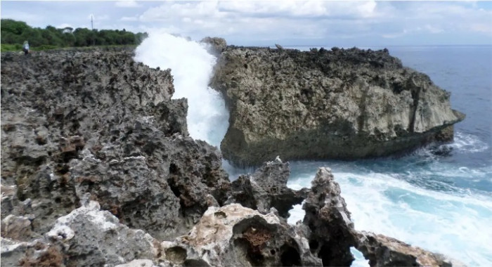 Bali Nusa Dua Tour (Half Day)