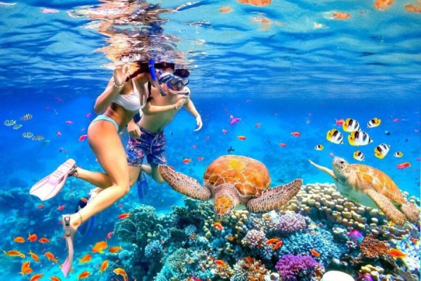 Bali: Private Blue Lagoon Snorkeling Lunch All Inclusive