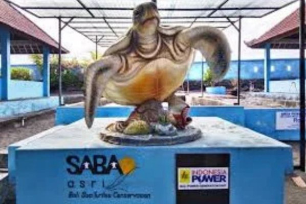 Bali Saba Asri Turtle Conservation Ticket – Protect & Release Baby Turtles
