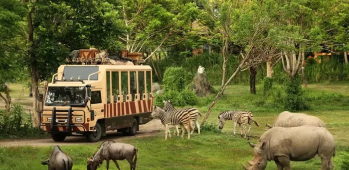 Bali Safari Adventure & Ubud Cultural Tour