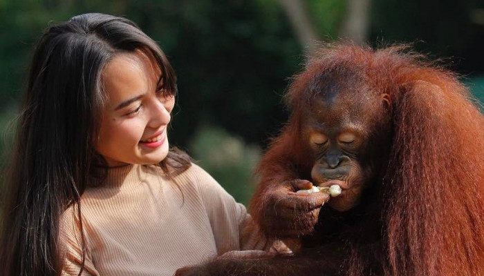 Bali Safari and Marine Park Jungle Hopper Package