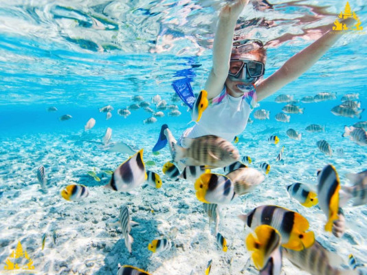 Bali Snorkeling Blue Lagoon