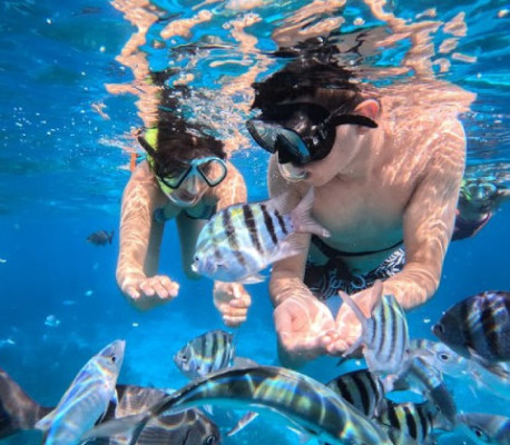 Bali Snorkeling Experience