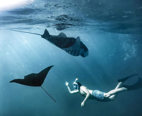 Bali Snorkeling with Manta in Nusa Penida