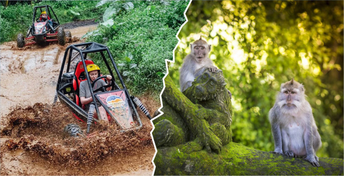Bali UTV Ubud – Ubud Day Tour