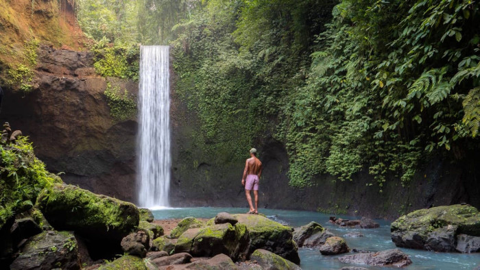Bali : Water Temple, Waterfalls & Rice Terrace Private Tour