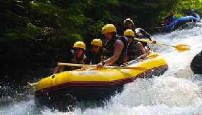 Bali White Water Rafting and Ubud Monkey Forest Tour