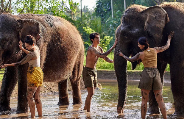 Bali Zoo, Fun Adventure, Lunch and Pool