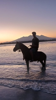 Beach Horseback Riding Experience Gili Meno