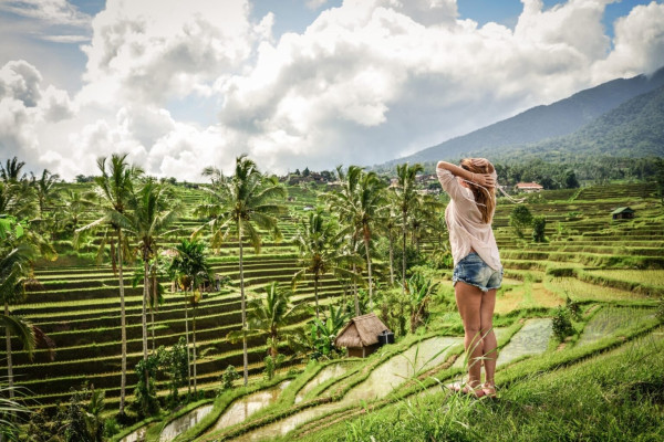 Beautiful North Ubud Day Tour