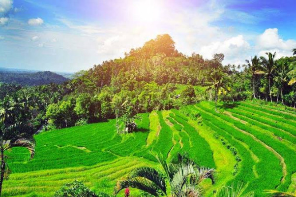 Besakih East Part of Bali