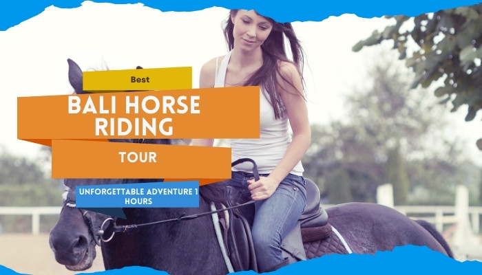 Best Bali Horse Riding Tour: Unforgettable Adventure 1 Hours