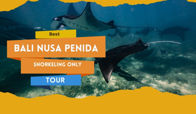 Best Bali Nusa Penida Snorkeling Tour | Snorkeling Only
