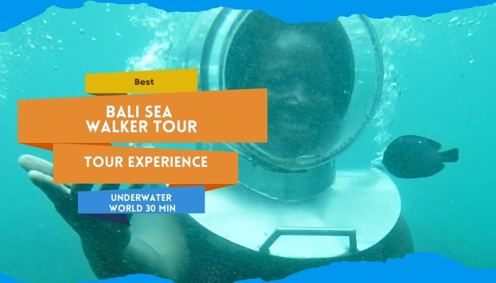 Best Bali Sea Walker Tour Experience Underwater World 30 Min