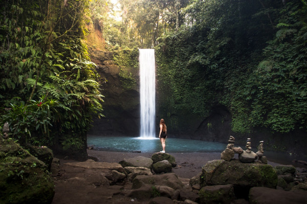 Best of Ubud Waterfalls, Monkey Forest and Rice Terrace Tour