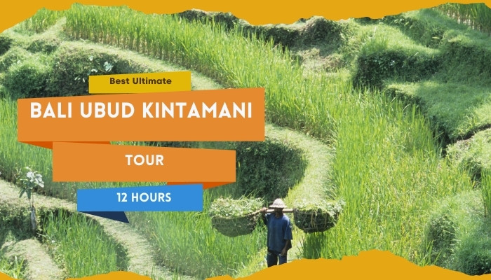 Best Ultimate Bali Ubud Kintamani Tour 12 Hours