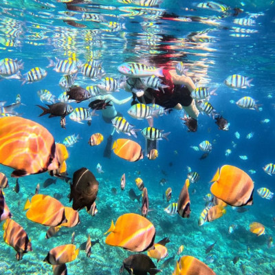 Blue Lagoon and Amuk Bay Snorkeling with Ubud Tour