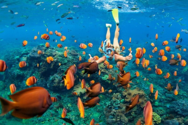 Blue Lagoon Snorkeling Bali Tour