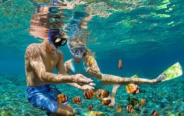 Blue Lagoon Snorkeling Tour – Bali Underwater Experience