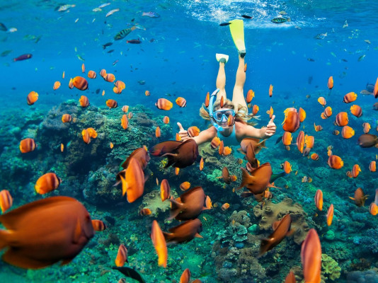 Blue Lagoon Snorkeling with Lunch