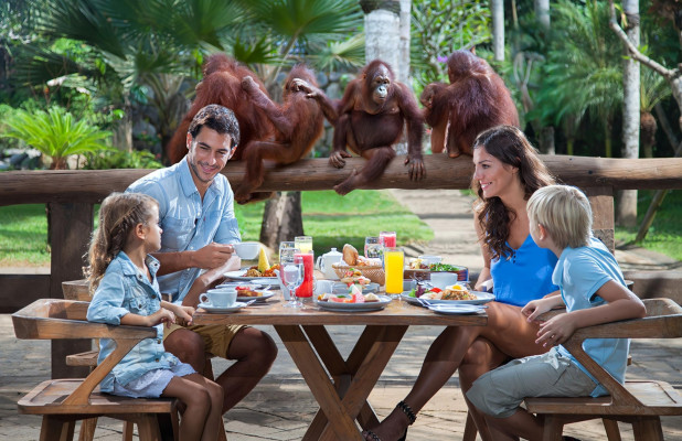 Breakfast Orangutan, Bali ATV Ride and Infinity Pool Tlaga Singha