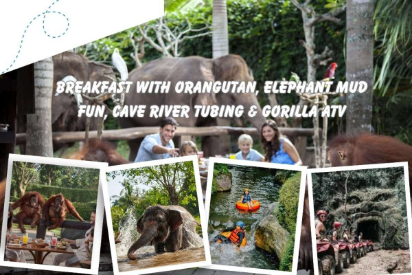 Breakfast with Orangutan, Elephant Mud Fun, Cave River Tubing & Gorilla ATV