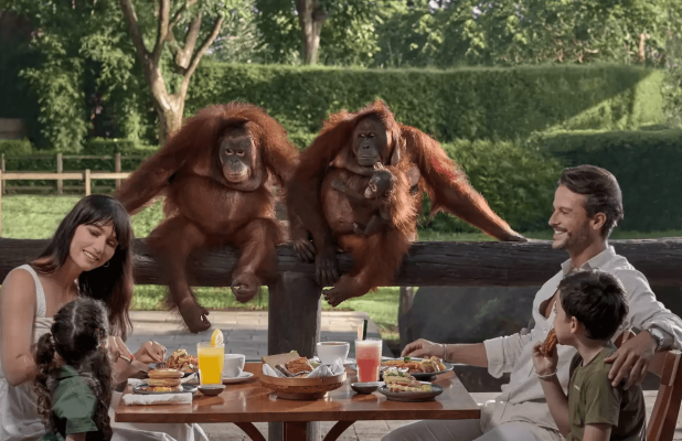 Breakfast with Orangutan (Exclude Transport) - Bali Zoo