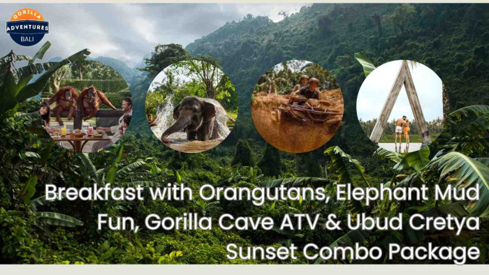 Breakfast with Orangutans, Elephant Mud Fun, Gorilla Cave ATV & Ubud Cretya Sunset Bali